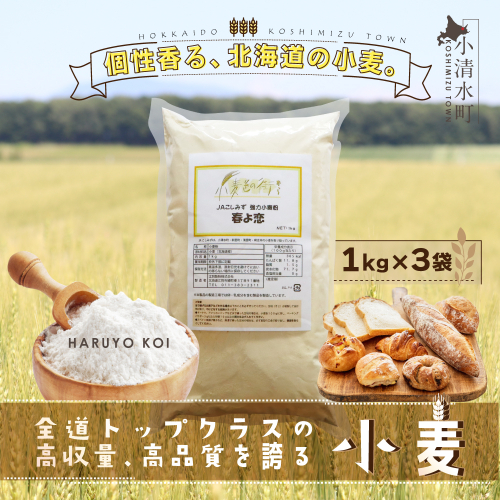 北海道小清水町産 「春よ恋」強力小麦粉3kg（1kg×3袋）【01010】 358048 - 北海道小清水町