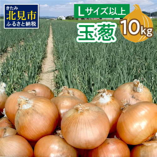 【予約：2025年11月から順次発送】玉葱 10kg Lサイズ以上 ( 玉ねぎ たまねぎ タマネギ 野菜 10キロ ふるさと納税 玉ねぎ生産量日本一 北見市産 )【148-0014-2025】 358812 - 北海道北見市