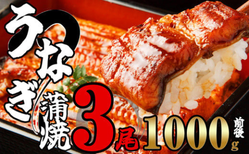 ふっくらジューシー 有頭 うなぎ蒲焼 3尾 合計1000g前後 SF012-2 ～ 冷凍 鰻 特大 小分け ウナギ 蒲焼 蒲焼き 大人気 タレ スタミナ 夏バテ 5尾 1250g 小分け 魚貝 レンジ 訳あり 訳あり商品 湯煎 冬うなぎ うな丼 うな重 中国産 取り寄せ 人気 ふわふわ ひつまぶし ～