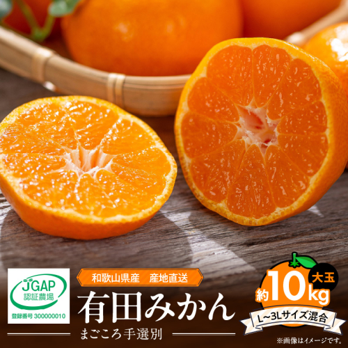 ZE6045n_和歌山県産 有田みかん 10kg 大玉(L~3Lサイズ混合)【まごころ手選別】 361212 - 和歌山県湯浅町
