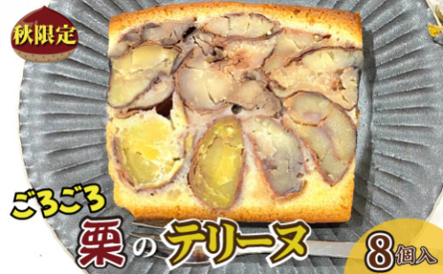 【先行受付】ごろごろ須木栗の贅沢テリーヌ（8個入り） 栗菓子 マロン 栗スイーツ 国産 栗 くり クリ 贅沢 お取り寄せスイーツ ギフト 和スイーツ人気 スイーツ ギフト 贈答用 数量限定