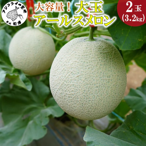 1.4kg以上！大玉アールスメロン 夢メロン2玉入り( メロン アールスメロン 大玉 大きい 甘い 果物 フルーツ 期間限定 )【B0-202】 363262 - 長崎県松浦市