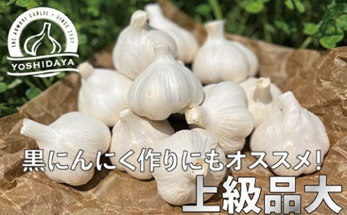 青森県産「にんにく・福地ホワイト種」　大サイズ・800g【2024年産】 363932 - 青森県三戸町