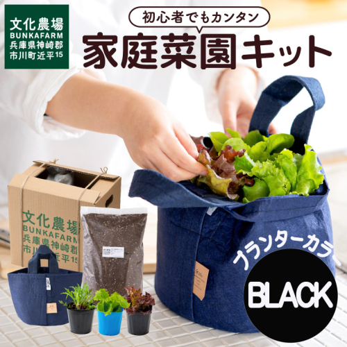 011BK01N.はじめての家庭菜園キット「サラダガーデン」（プランター色：ブラック） 364165 - 兵庫県市川町