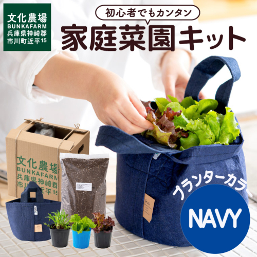 011BK03N.はじめての家庭菜園キット「サラダガーデン」（プランター色：ネイビー） 364170 - 兵庫県市川町
