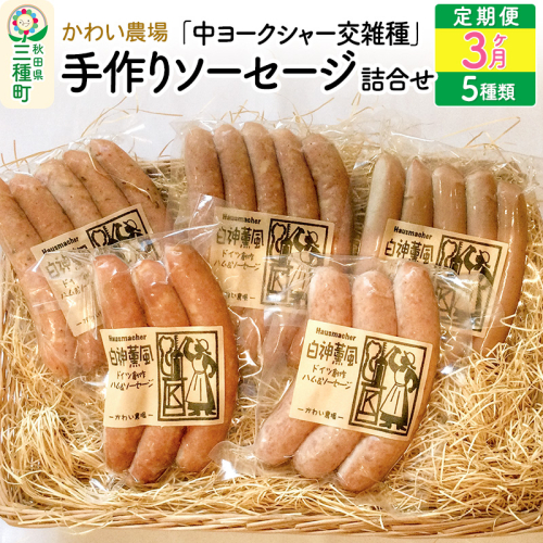 《定期便3ヶ月》 かわい農場「中ヨークシャー交雑種」手作りソーセージ5種類の詰合せ しっぽ豚 364443 - 秋田県三種町