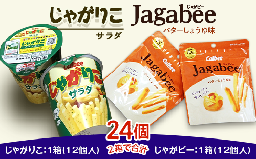 カルビー じゃがりこ ・ じゃがビー セット 2箱 （ 計24個 ）【 下妻工場産 】【 お菓子 おやつ ポテト じゃがいも 人気 ふるさと納税 サラダ味 素材 】