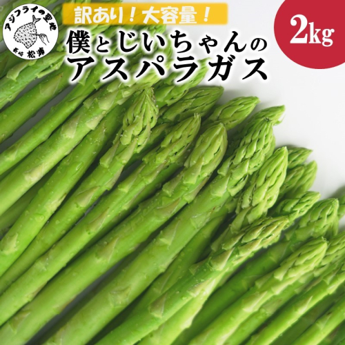 訳ありご家庭用に大活躍！僕とじいちゃんのアスパラガス2kg( 訳あり 不揃い アスパラガス 大容量 新鮮 朝採れ 野菜 生産者直送 )【B0-160】 365189 - 長崎県松浦市