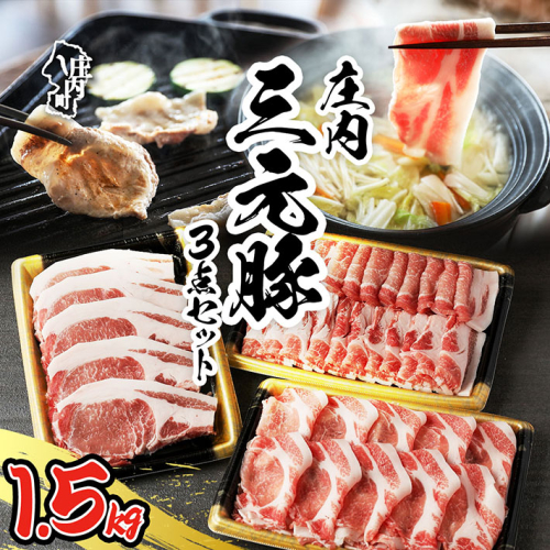 【109-021】ブランド豚「庄内三元豚」3点セット（計1.5kg） 3668 - 山形県庄内町
