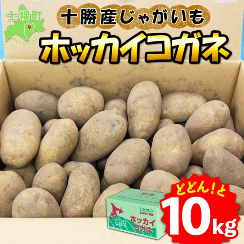 北海道 じゃがいも ホッカイコガネ 10kg 北海道産 十勝産 北海こがね 北海コガネ 北海黄金 ジャガイモ 芋 いも ポテト お取り寄せ まとめ買い 送料無料 十勝 士幌町【V06】 369412 - 北海道士幌町