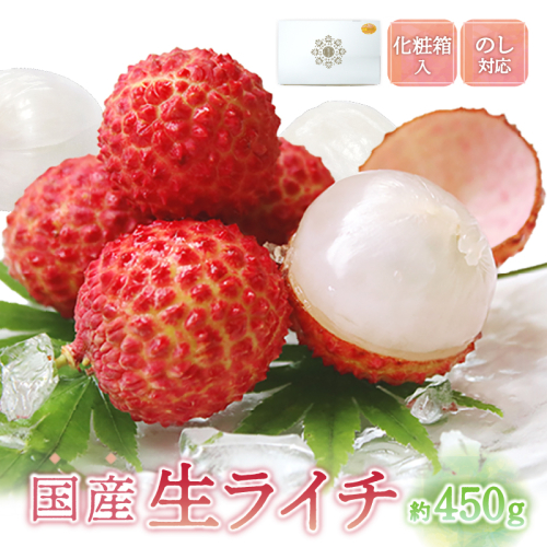 綾生ライチ(化粧箱) 37092 - 宮崎県綾町