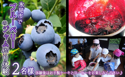 氷見市でブルーベリーのジャム作り体験２名様●ケーキとコーヒー付き 371172 - 富山県氷見市