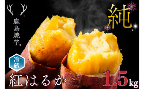 【人気返礼品】鹿島焼芋 純 1.5kg【冷蔵 ひやし 焼き芋 やきいも さつまいも 芋 お菓子 おやつ デザート スイーツ 和菓子 和スイーツ 鹿嶋市 茨城県】（KBK-8-1）
