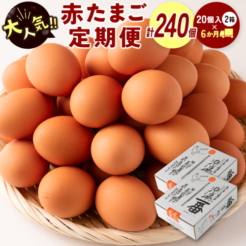 ＜児湯養鶏自慢の卵＞ネッカリッチ赤たまご「児湯一番」 計240個 （20個入×2箱）×6か月定期便【D15】 37460 - 宮崎県新富町