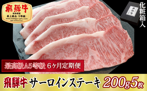 6ヶ月定期便 化粧箱入 最高級A5等級 飛騨牛 サーロインステーキ 200g×5枚 375019 - 岐阜県関ケ原町