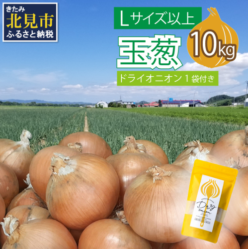 【予約：2025年11月から順次発送】玉葱 10kg Lサイズ以上 北見ドライオニオン1袋付き ( 玉ねぎ たまねぎ ドライオニオン セット ふるさと納税 北海道 )【148-0006-2025】 375230 - 北海道北見市