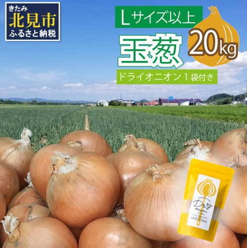 【予約：2025年11月から順次発送】玉葱 20kg Lサイズ以上 北見ドライオニオン1袋付き ( 玉ねぎ たまねぎ ドライオニオン セット ふるさと納税 北海道 )【148-0008-2025】 375232 - 北海道北見市