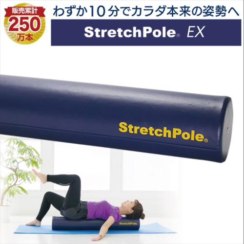 FI002【LPN社製】「ストレッチポールEX」（ネイビー色）一流アスリートから医療の現場、ご家庭まで幅広く活用。 381880 - 佐賀県みやき町