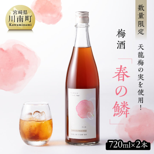 【数量限定】天龍梅の実を使用！オリジナル梅酒「春の鱗」（720ml×2本）【 お酒 アルコール 酒 梅酒 】 382047 - 宮崎県川南町