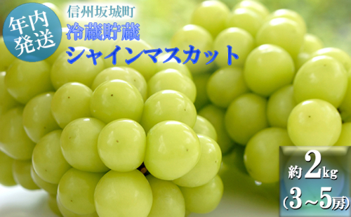【11・12月発送】冬に味わう!冷蔵貯蔵シャインマスカット 約2kg (3~5房) 長野 信州 坂城 冷蔵シャイン 産地直送 宮原農園 年内発送 ぶどう ブドウ フルーツ 386109 - 長野県坂城町