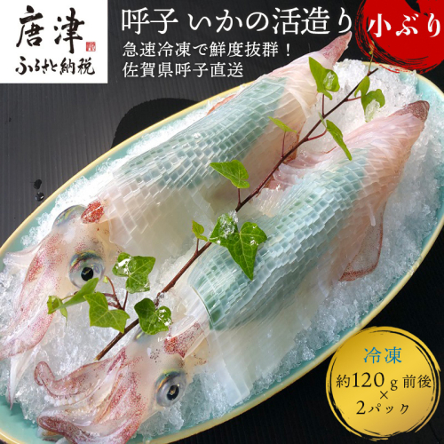 (数量限定)呼子のいか活造り (120g前後×2)小ぶりで歯ごたえも味も鮮度も抜群！ 387840 - 佐賀県唐津市