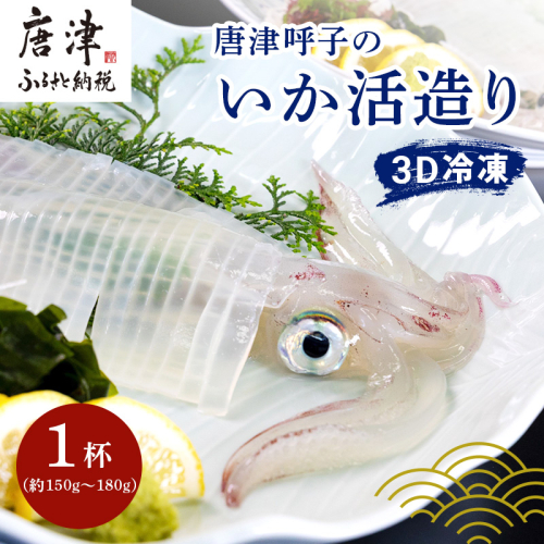 『先行予約』唐津呼子産いか活造り 1杯(約150g～180g)  急速冷凍 新鮮そのまま食卓へ！イカ 刺身 簡単 ギフト ※水揚げあり次第6月以降順次発送させていただきます。 388245 - 佐賀県唐津市