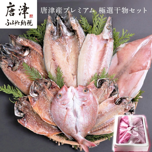 唐津産プレミアム 極選干物セット 旬サバ(トキサバ)淡塩造り 旬サバみりん 旬アジ開き 旬アジみりん 金時鯛一夜干し(旬の白身魚干物) 呼子イカ ヤリイカ一夜干し 銀カマス一夜干し 7種9尾 健康高級ひものセット 干物 388284 - 佐賀県唐津市