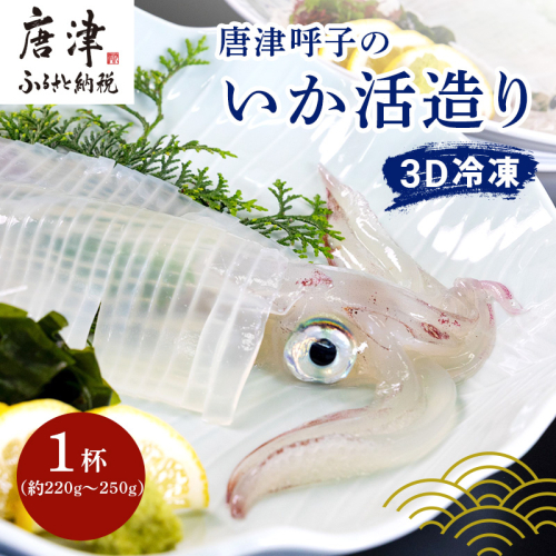 唐津呼子産いか活造り 1杯(約220g～250g) 急速冷凍 新鮮そのまま食卓へ！イカ 刺身 簡単 ギフト 388324 - 佐賀県唐津市