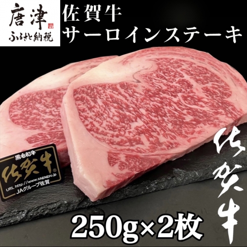 佐賀牛サーロインステーキ 250g×2枚(合計500g) 牛肉 ステーキ BBQ アウトドア 388689 - 佐賀県唐津市