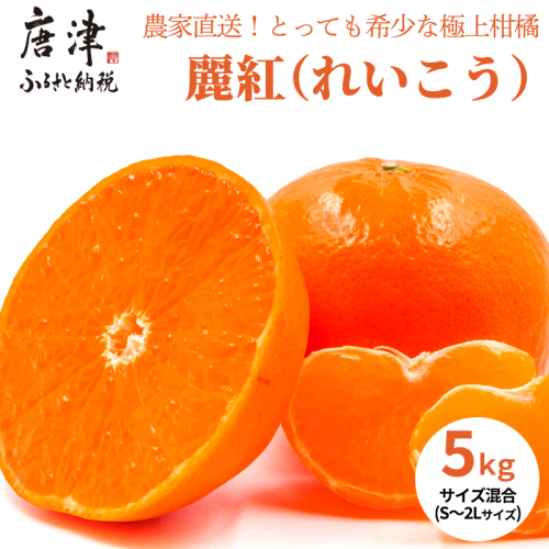 『先行予約』【令和8年1月下旬発送】麗紅(れいこう）ハウス栽培 唐津産 5kg 混合サイズ みかん 蜜柑 柑橘 果物 フルーツ 388817 - 佐賀県唐津市