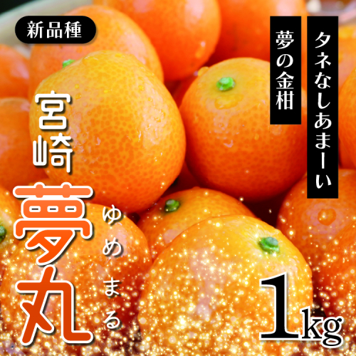 種なし きんかん「宮崎夢丸」 1kg 389882 - 宮崎県綾町