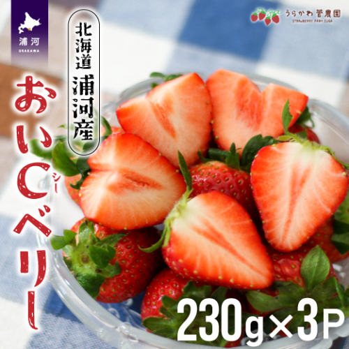 【先行受付開始！】北海道浦河産いちご「おいCベリー」230g×3P[13-1127] 390984 - 北海道浦河町