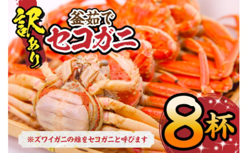 【先行予約】【訳あり セコガニ 約120g×8匹 釜茹で ボイル 冷凍】令和7年11月中旬以降、順次発送予定 濃厚なカニ味噌とやみつきになる内子、外子が絶品 産地直送 国産 カニ かに 蟹 松葉ガニ せいこがに メスガニ 親ガニ 大人気 人気 ふるさと納税 返礼品 おすすめ 兵庫県 香美町 香住 柴山 日本海フーズ にしとも 18000円 07-09