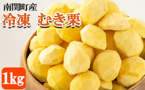 南関産 冷凍むき栗 900g (300g×3袋)  令和7年産 マロン 季節 手仕上げ 秋の味覚 材料 菓子 国産 熊本県 無添加 冷凍