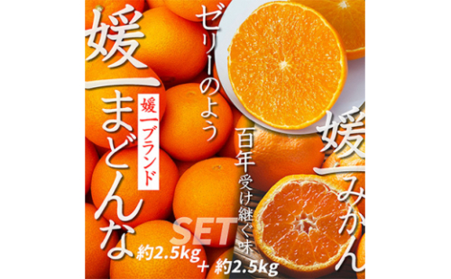 ＜2025年11月以降発送＞「媛一みかん」と「媛一まどんな」の2品種・約5kg＜C28-29＞_みかん ミカン マドンナ 紅まどんな同品種 柑橘 柑橘類 フルーツ 果物 くだもの 人気 美味しい 愛媛県 八幡浜 ふるさと【1119673】
