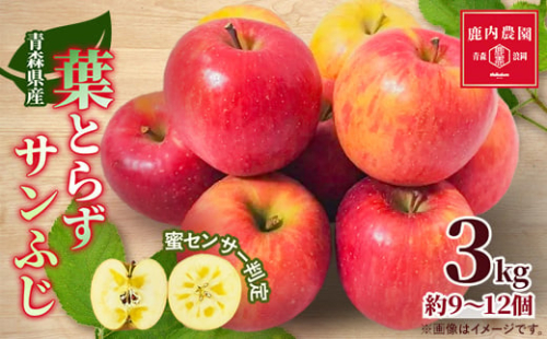 りんご 葉取らずふじ 蜜入判定 3kg (約9～12個)_ りんご 林檎 リンゴ ふじ フジ 果物 くだもの フルーツ 葉取らず 青森県 産地直送 送料無料 おすすめ 人気 お取り寄せ 贈答 ギフト プレゼント 常温 3kg 【1085335】