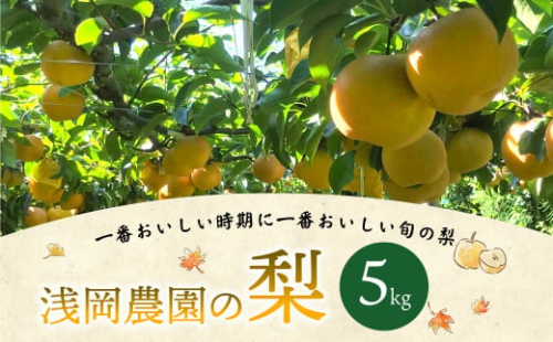 浅岡農園 の 梨 約5kg 豊水 秋月 新高 甘太 果物 大分県産 【2025年9月上旬-11月上旬発送予定】