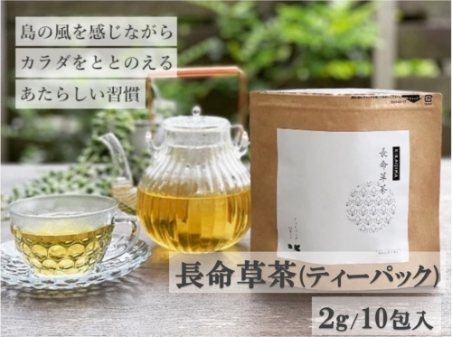 喜界島の長命草茶　ティーバック(２ｇ/10包入)×１袋 407299 - 鹿児島県喜界町