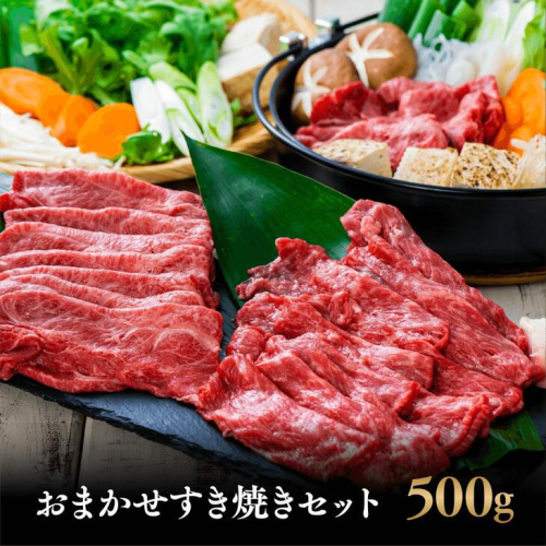 0C1-03【スピード発送】 黒毛和牛 おまかせ すき焼き セット （500g） おおいた和牛 すき焼き肉 しゃぶしゃぶ 牛肉 牛 ブランド牛 九州 和牛 国産 40885 - 大分県豊後高田市