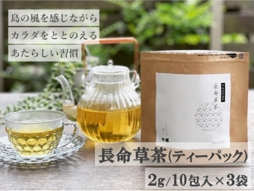 喜界島の長命草茶　ティーバック(２ｇ/10包入)×３袋 409473 - 鹿児島県喜界町