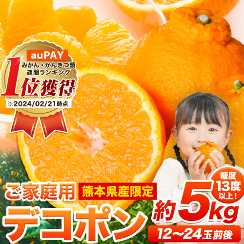 先行予約 訳あり デコポン デコポン約5kg前後(約12-24玉前後)《2月上旬-4月末頃出荷》訳あり 不知火 熊本県産 熊本県 長洲町 糖度13度以上
 415225 - 熊本県長洲町