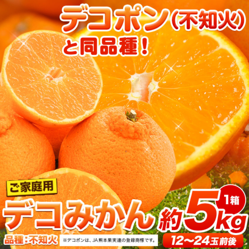 ご家庭用 デコみかん 約5kg 12～24玉前後《2026年2月上旬-4月末頃出荷》デコポン（不知火）と同品種 熊本県産 熊本県 長洲町 訳あり 415226 - 熊本県長洲町