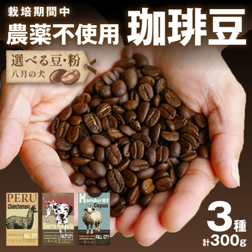 【栽培期間中農薬不使用】自家焙煎コーヒー豆 お試しセット（100gx3種）八月の犬 珈琲豆 ドリップ 飲み比べ コホペ 挽きたてコーヒー豆 お試しコーヒー コーヒー飲み比べ スペシャルティコーヒー 珈琲豆詰め合わせ 人気の珈琲豆  416403 - 京都府京丹後市