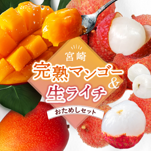 【先行予約/数量限定】希少 完熟マンゴー＆生ライチセット 宮崎県産 綾町産 果物 国産ライチ 高級 マンゴー 国産ライチ 産地直送 お中元
 418390 - 宮崎県綾町