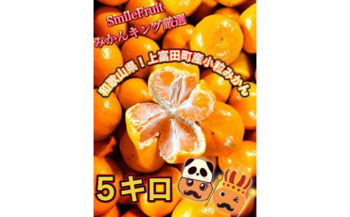 【先行予約】小粒みかん5Kg　高糖度！みかんの里！【SmileFruitみかんキング厳選】2025年10月下旬以降順次発送 418718 - 和歌山県上富田町