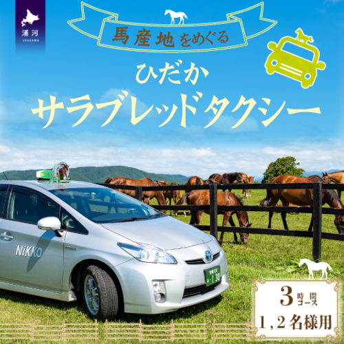 馬産地をめぐる「ひだかサラブレッドタクシー」3時間(1,2名様)コース[41-1102] 423595 - 北海道浦河町