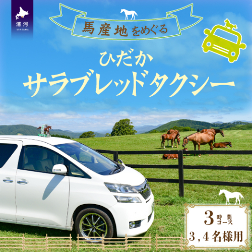 馬産地をめぐる「ひだかサラブレッドタクシー」3時間(3,4名様)コース[41-1103] 423614 - 北海道浦河町