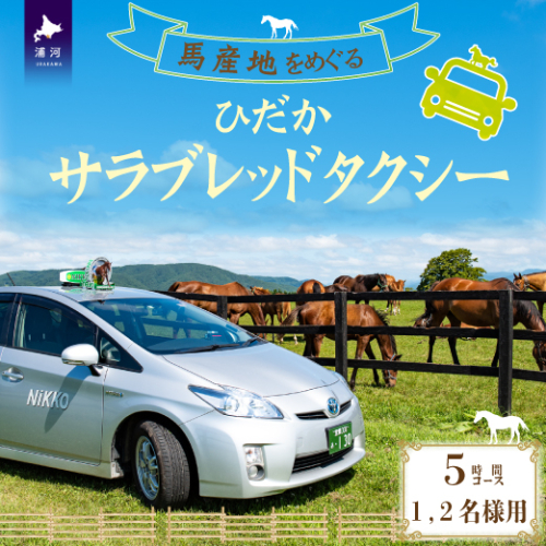 馬産地をめぐる「ひだかサラブレッドタクシー」5時間(1,2名様)コース[41-1104] 423622 - 北海道浦河町