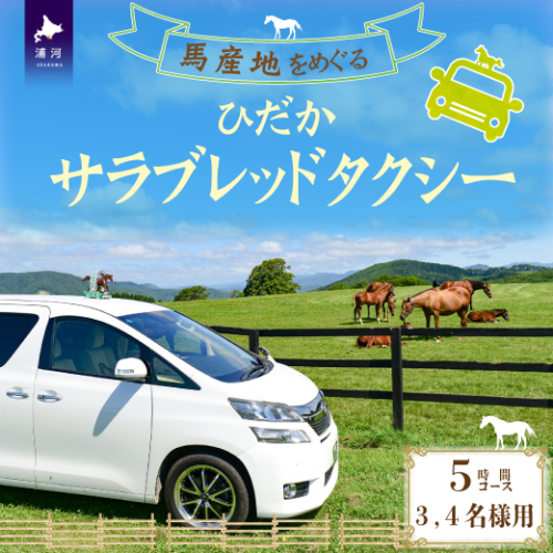 馬産地をめぐる「ひだかサラブレッドタクシー」5時間(3,4名様)コース[41-1105] 423726 - 北海道浦河町