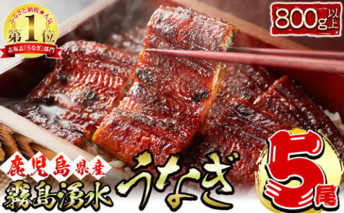 【数量限定】【お礼の品人気No1】霧島湧水鰻の蒲焼き 160g以上×5尾＜計800g以上＞　うなぎ 鰻 ウナギ 5尾 国産 九州産 蒲焼き かばやき 冷凍 うな重 ひつまぶし タレ 山椒 ランキング 人気 c0-103